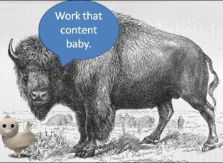 use the whole buffalo