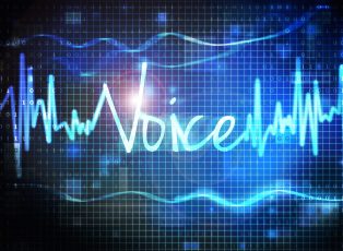 voice-search