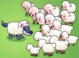 wolf-in-sheeps-clothing